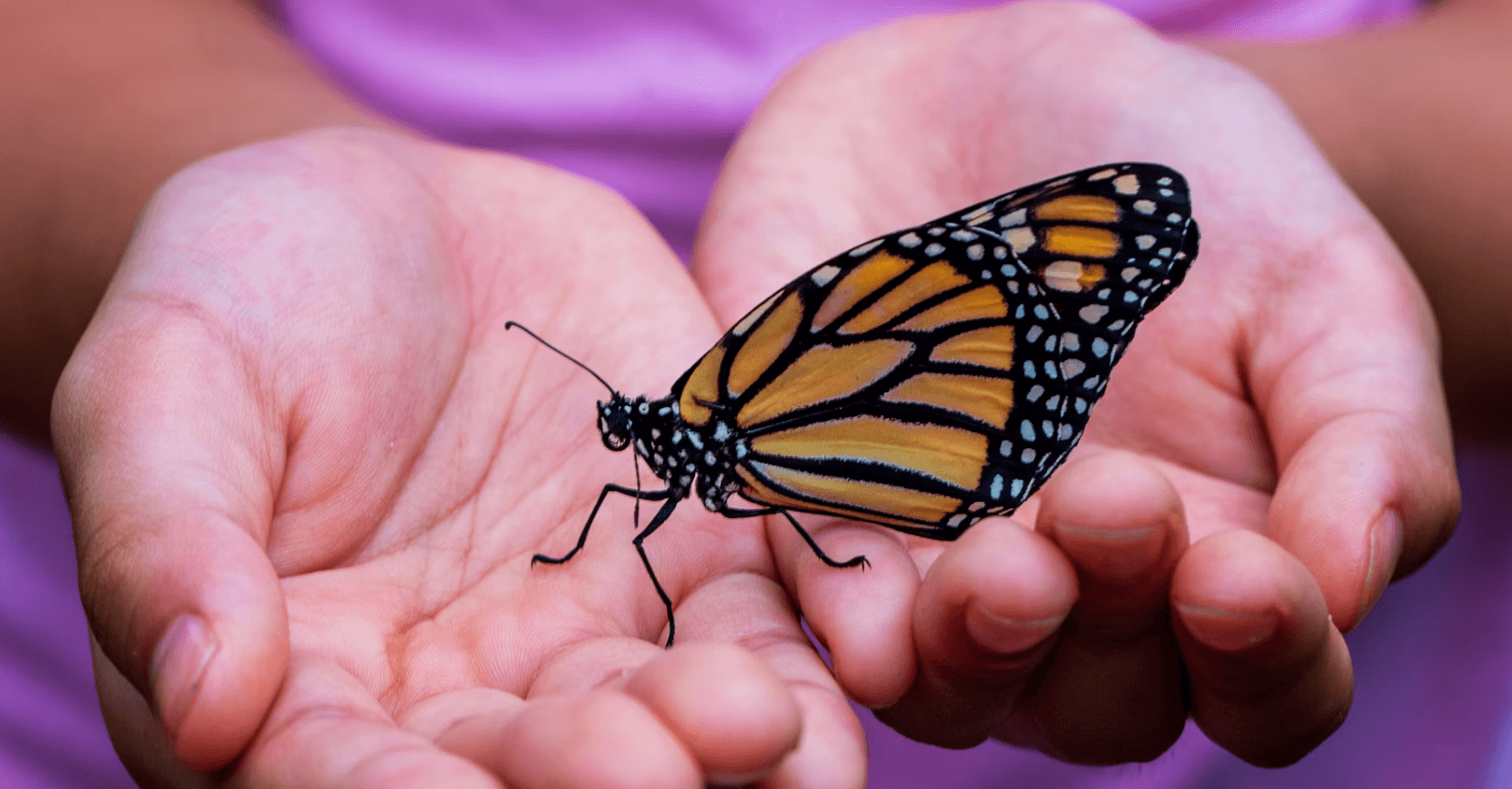 چرا شکرگزاری مهم است؟