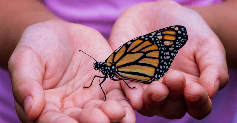 چرا شکرگزاری مهم است؟